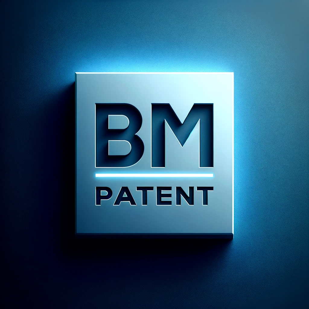 bm특허_필요성